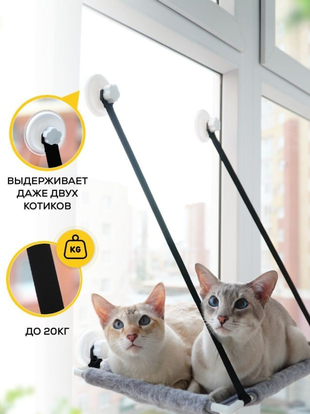 Rus tasodifiy jinsiy aloqa onlayn