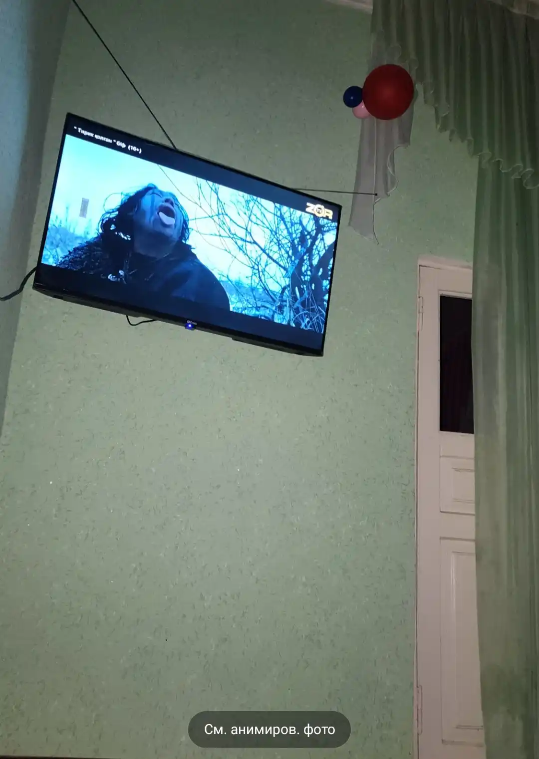 ZENO P-500, 32-70 dyuymli kronshteyn, televizor va monitor uchun taglik