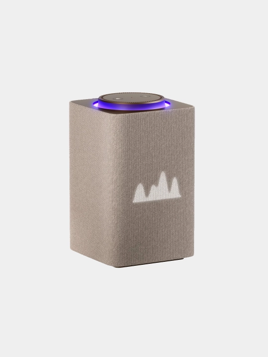 Yandex aqlli karnay Alisa bilan Maks stansiyasi ,65Vt Bluetooth 5.0,Wifi, Matter, RGB - 
