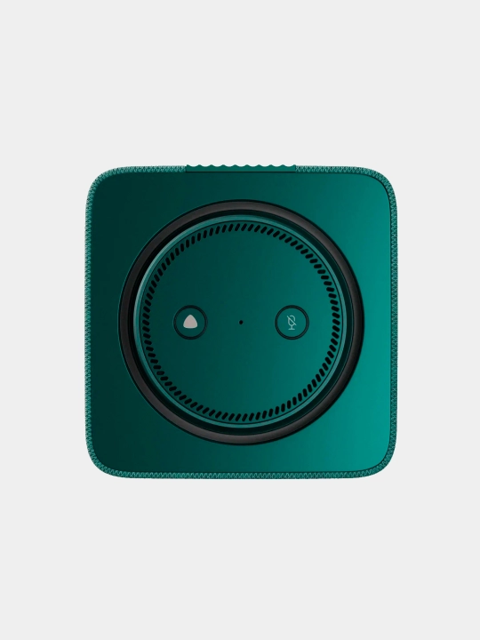 Yandex aqlli karnay Alisa bilan Maks stansiyasi ,65Vt Bluetooth 5.0,Wifi, Matter, RGB