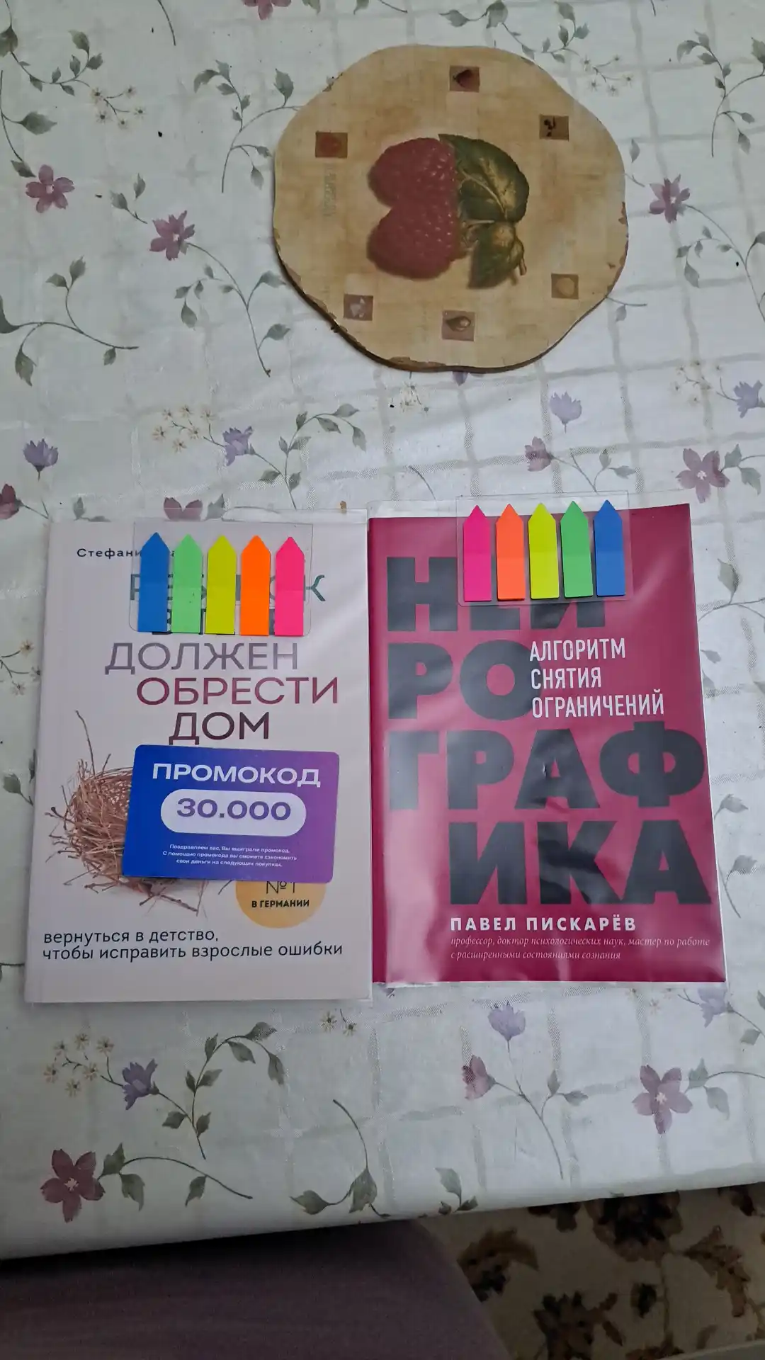Neyrografika, Algoritm snyatiya ogranicheniy, Pavel Piskarov