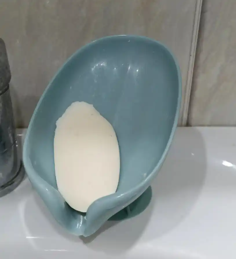 So‘rg‘ichli, olxo‘rili, yaproqsimon sovun idishi