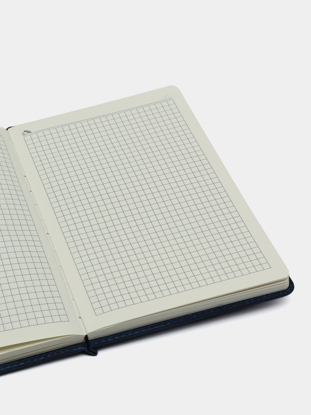 Moleskine Dotted Grid Notebook 240 Page Large Black