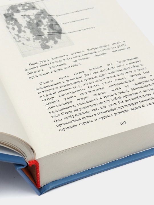 Тело помнит всё, Бессел Ван Дер Колк
