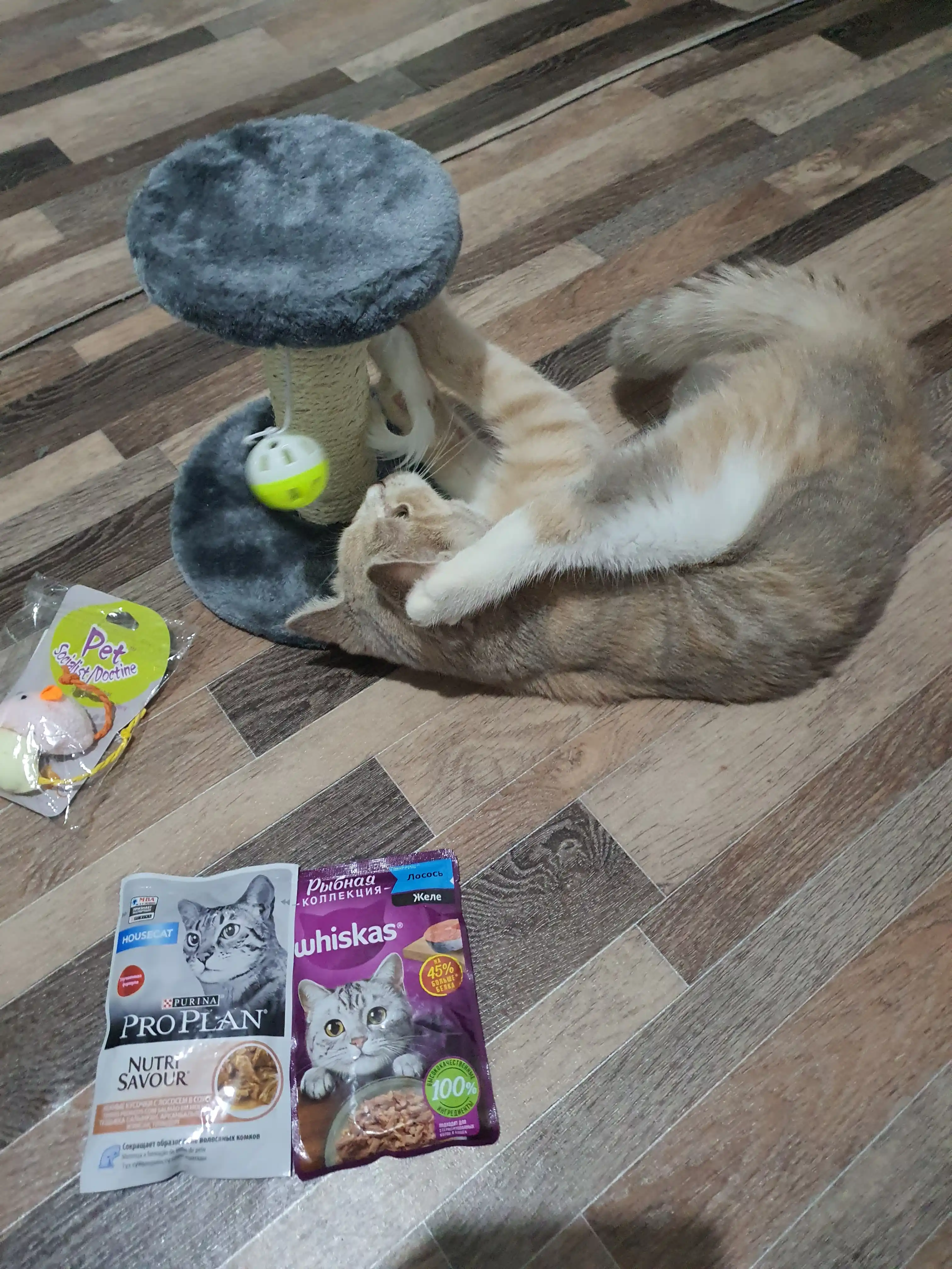 Когтеточка столбик для кошек с игрушкой и полочкой, 22 см