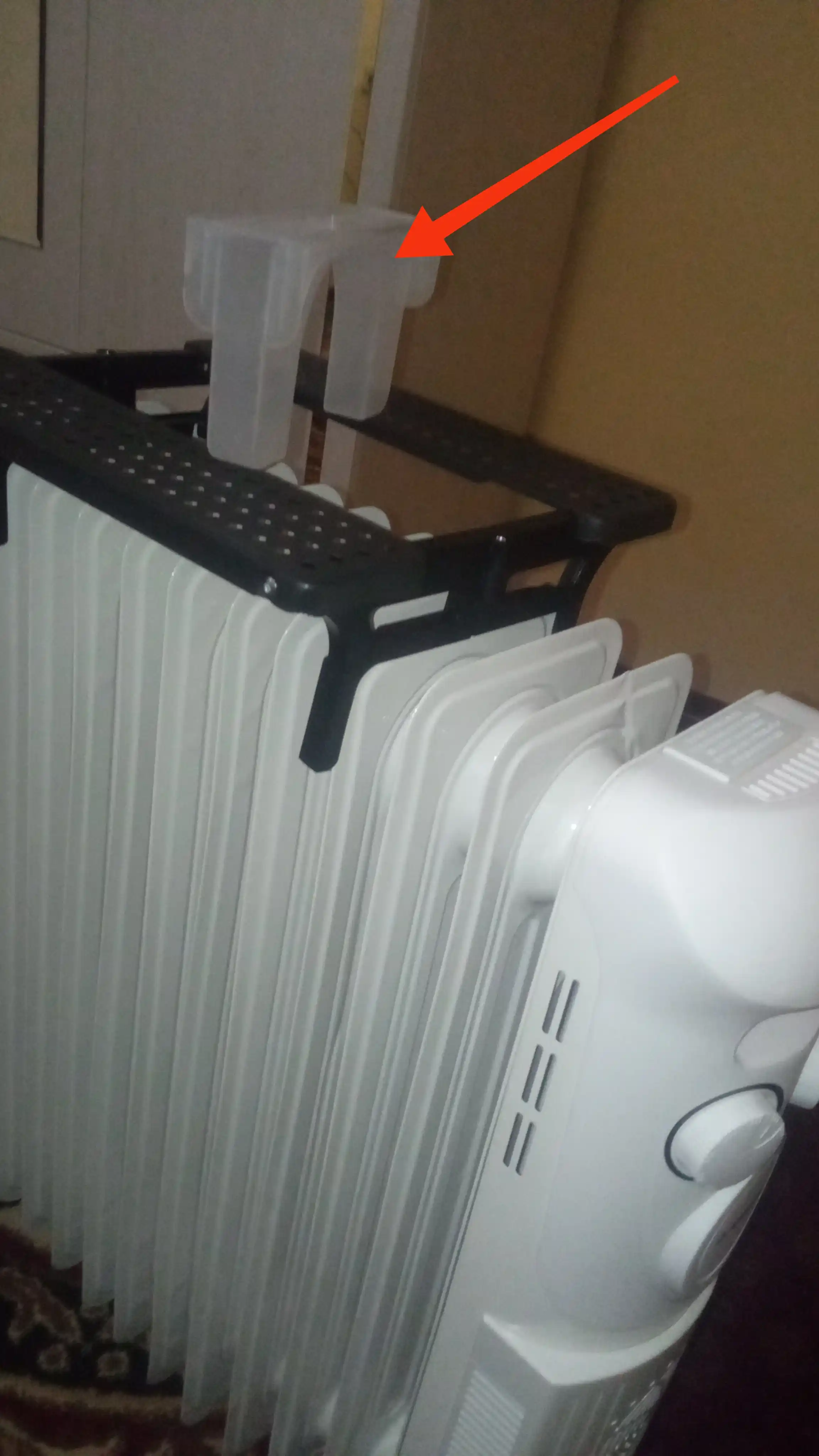 Isitgich yog'li Arshia, Nikai 13 qovurg'ali, 2900 Vt