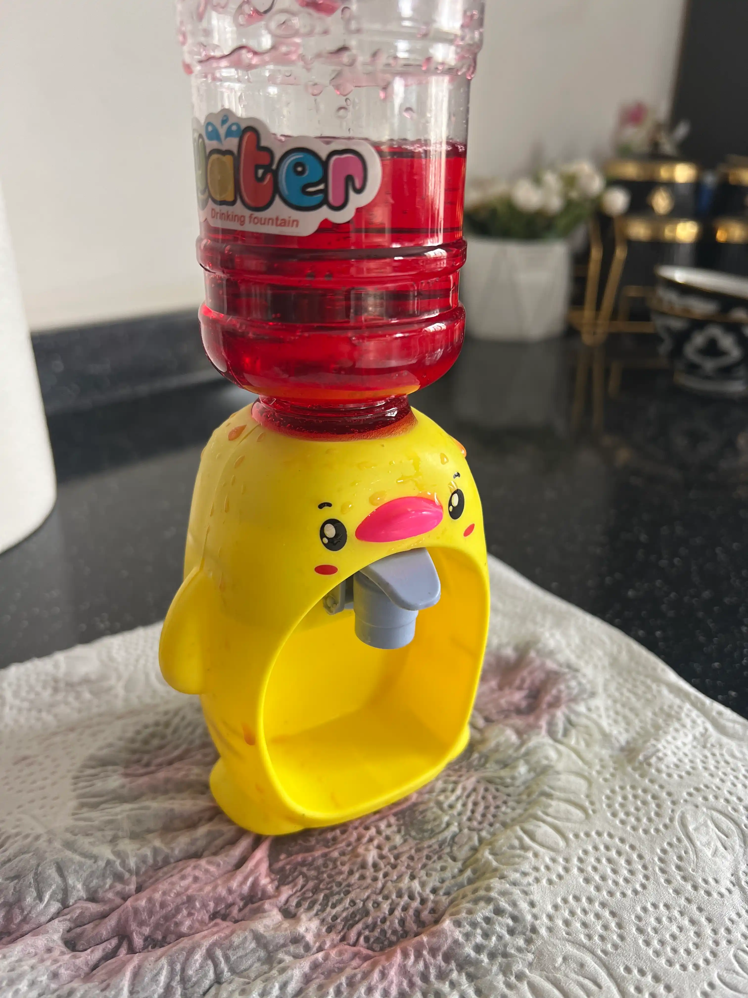 Mini kuler, suv va sharbat dispenseri Ananas, jo'ja, qurbaqa