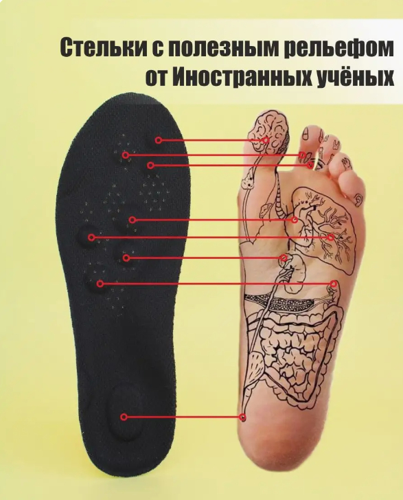 Orqadan qollar orqada porno Janubdagi fotosuratda xotini