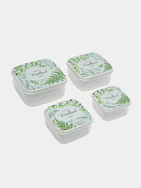 Комплект контейнеров для продуктов, с крышками, с декором, 3, 4, 5, 6 шт