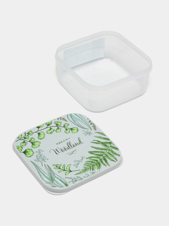Комплект контейнеров для продуктов, с крышками, с декором, 3, 4, 5, 6 шт