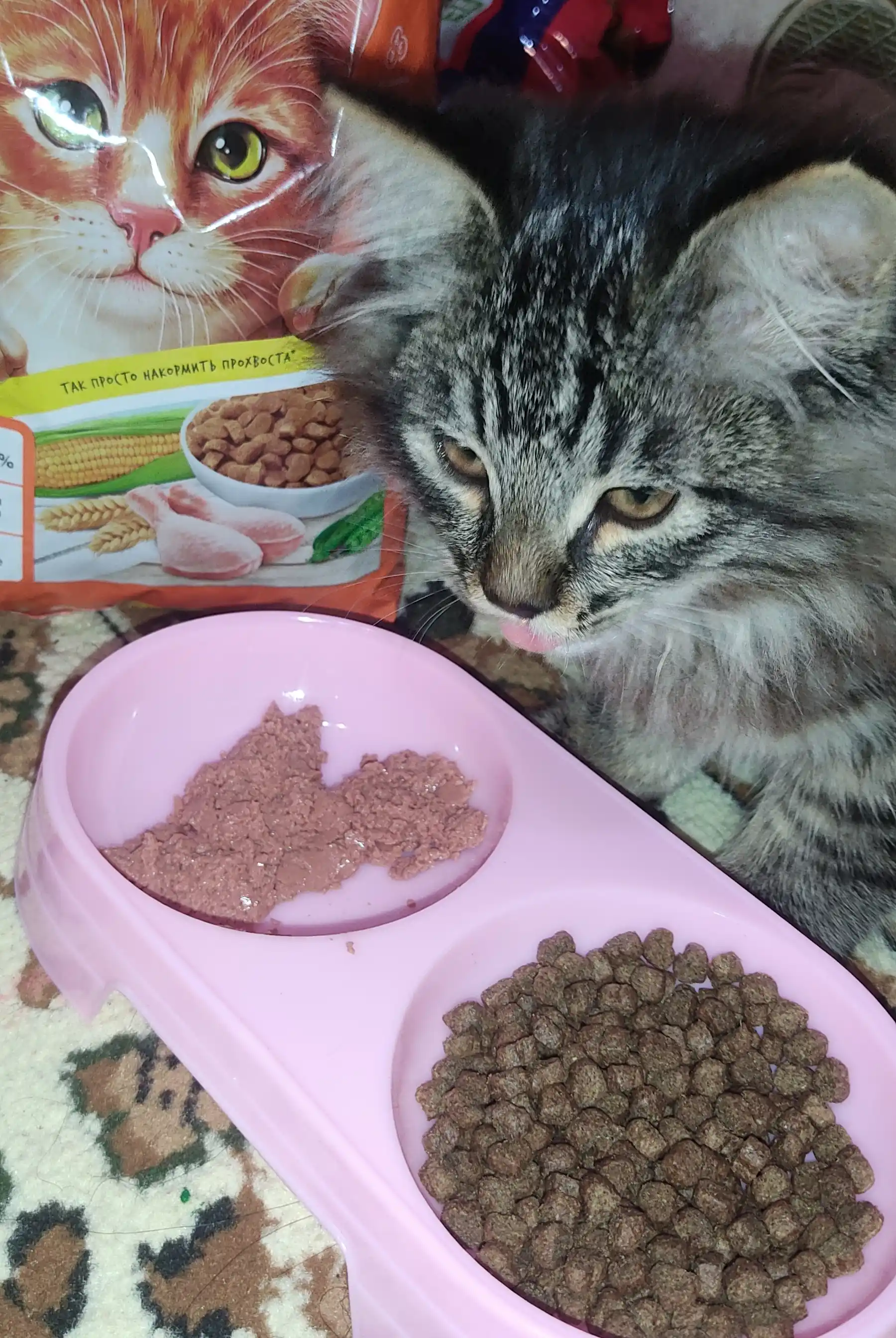 ProХвост сухой корм для кошек, курица, 800 гр