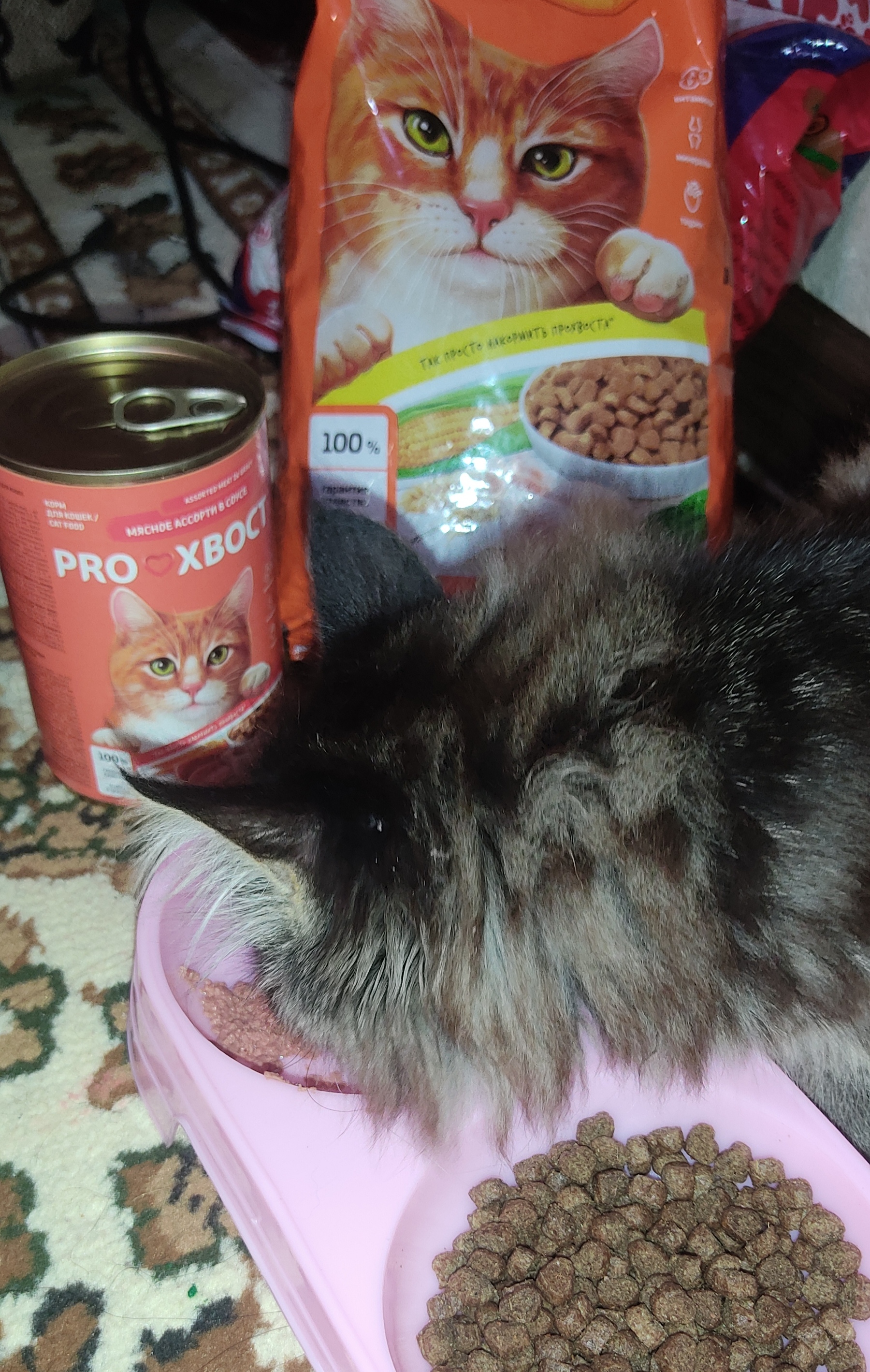 ProХвост сухой корм для кошек, курица, 800 гр