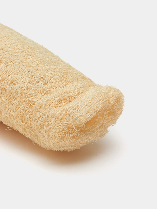 Tabiiy mochalka lyufdan (Luffa)