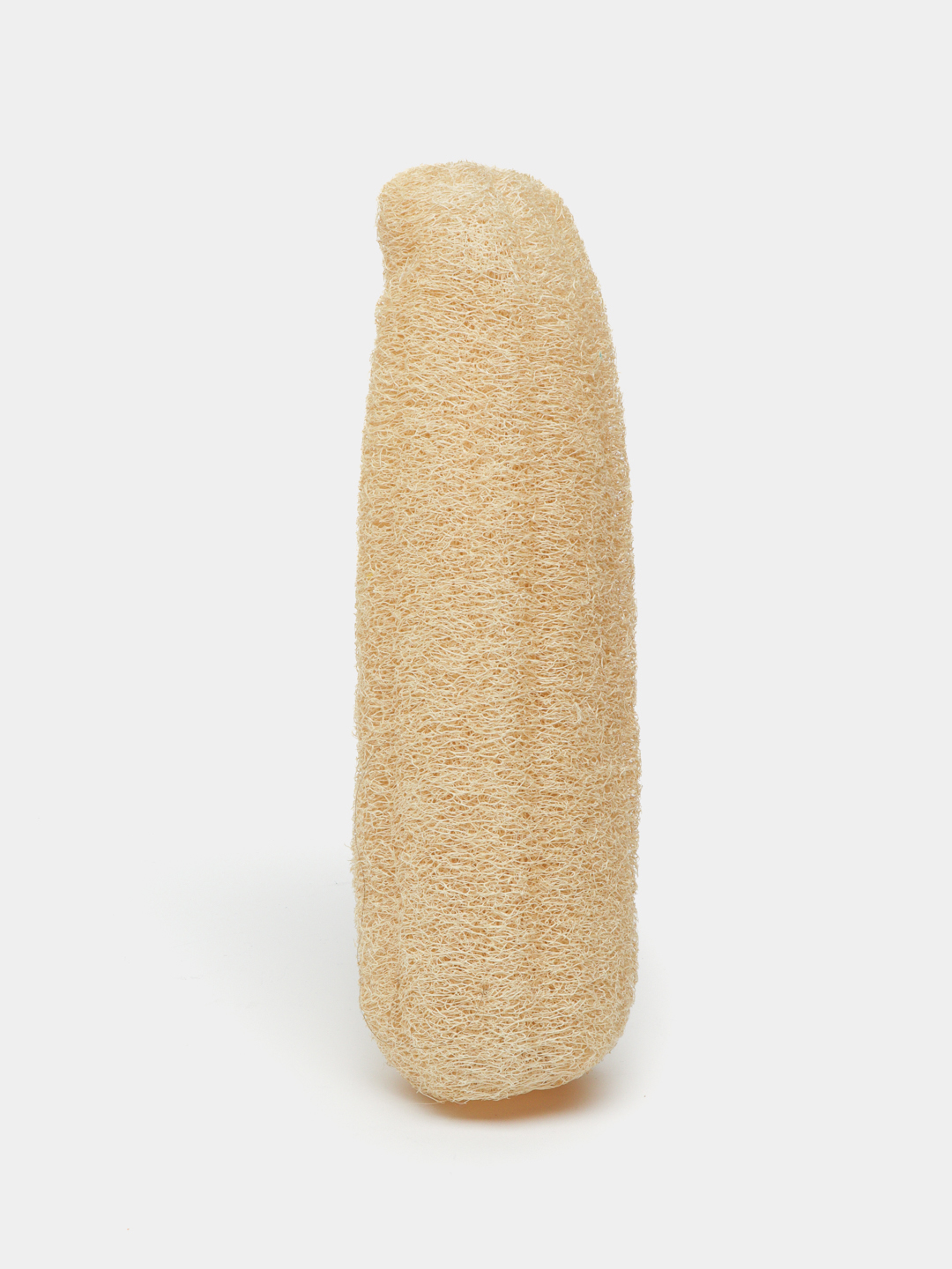 Tabiiy mochalka lyufdan (Luffa)