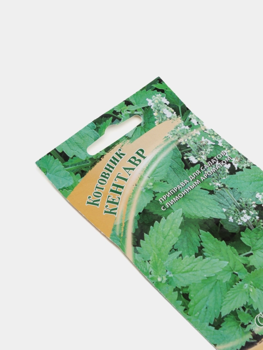 Catnip Centaur urug'lari, 0,1 g, Gavrish, muallifdan urug'lar 1071856543
