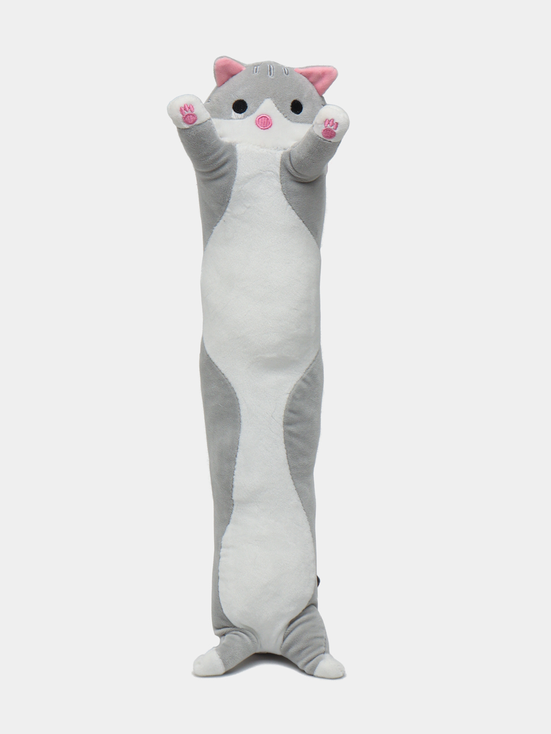 Mariyaning mushuklari