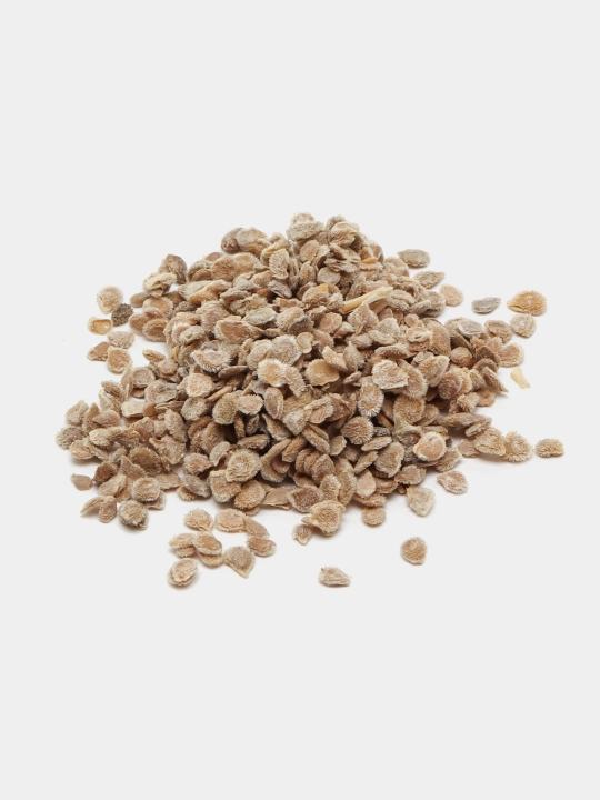 Urug‘lar: Lavlagi, Bulg‘or, Turp, Karam, Rayhon, Pomidor, Selderey, Bodreng, Ukrop, 5 g