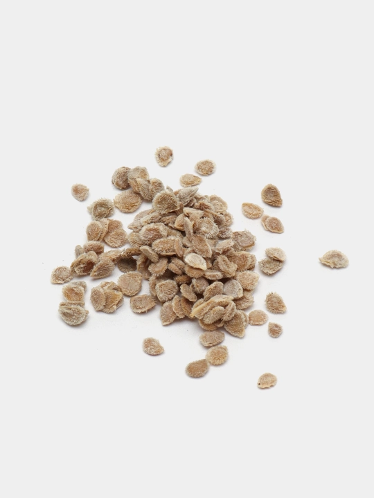 Urug‘lar: Lavlagi, Bulg‘or, Turp, Karam, Rayhon, Pomidor, Selderey, Bodreng, Ukrop, 5 g