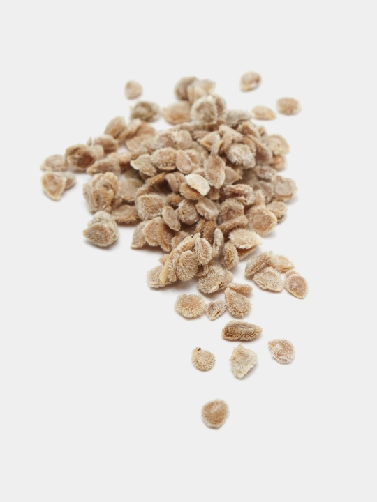 Urug‘lar: Lavlagi, Bulg‘or, Turp, Karam, Rayhon, Pomidor, Selderey, Bodreng, Ukrop, 5 g