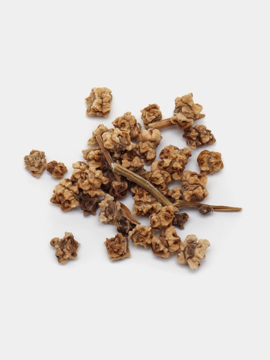 Urug‘lar: Lavlagi, Bulg‘or, Turp, Karam, Rayhon, Pomidor, Selderey, Bodreng, Ukrop, 5 g