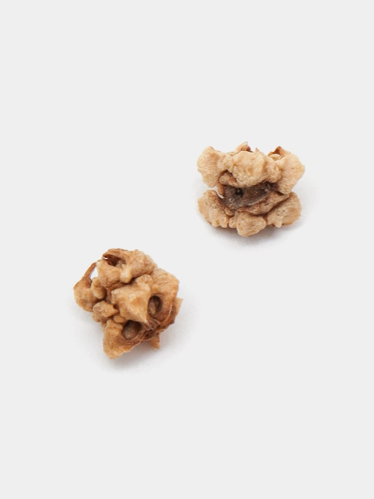 Urug‘lar: Lavlagi, Bulg‘or, Turp, Karam, Rayhon, Pomidor, Selderey, Bodreng, Ukrop, 5 g
