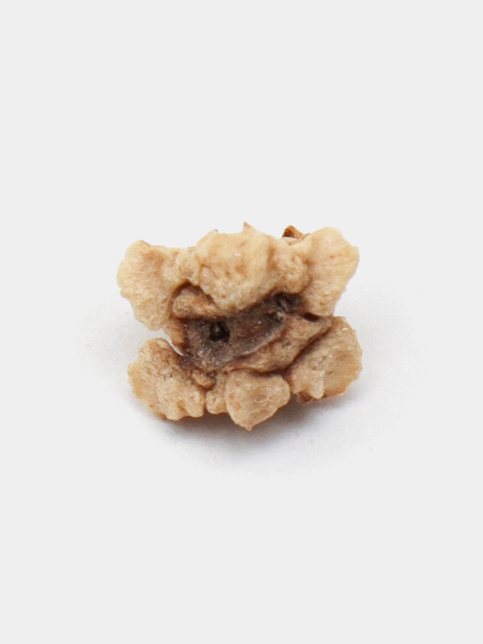 Urug‘lar: Lavlagi, Bulg‘or, Turp, Karam, Rayhon, Pomidor, Selderey, Bodreng, Ukrop, 5 g