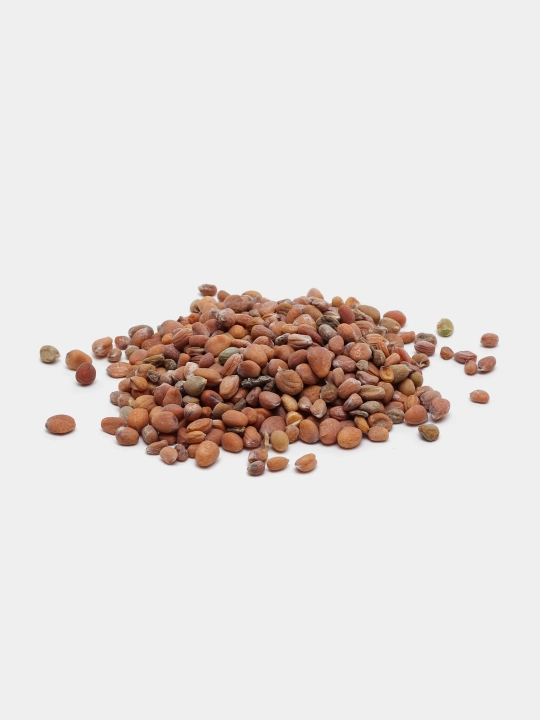Urug‘lar: Lavlagi, Bulg‘or, Turp, Karam, Rayhon, Pomidor, Selderey, Bodreng, Ukrop, 5 g