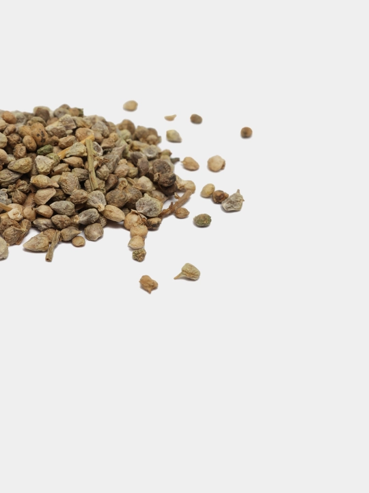 Urug‘lar: Lavlagi, Bulg‘or, Turp, Karam, Rayhon, Pomidor, Selderey, Bodreng, Ukrop, 5 g