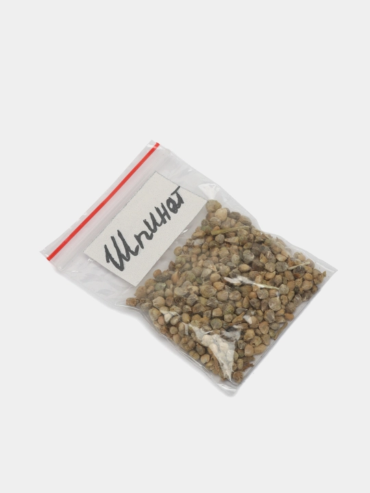 Urug‘lar: Lavlagi, Bulg‘or, Turp, Karam, Rayhon, Pomidor, Selderey, Bodreng, Ukrop, 5 g