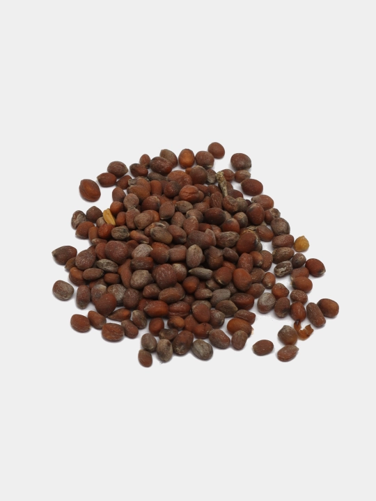 Urug‘lar: Lavlagi, Bulg‘or, Turp, Karam, Rayhon, Pomidor, Selderey, Bodreng, Ukrop, 5 g