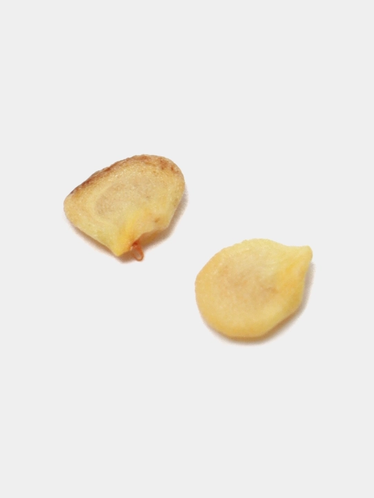 Urug‘lar: Lavlagi, Bulg‘or, Turp, Karam, Rayhon, Pomidor, Selderey, Bodreng, Ukrop, 5 g