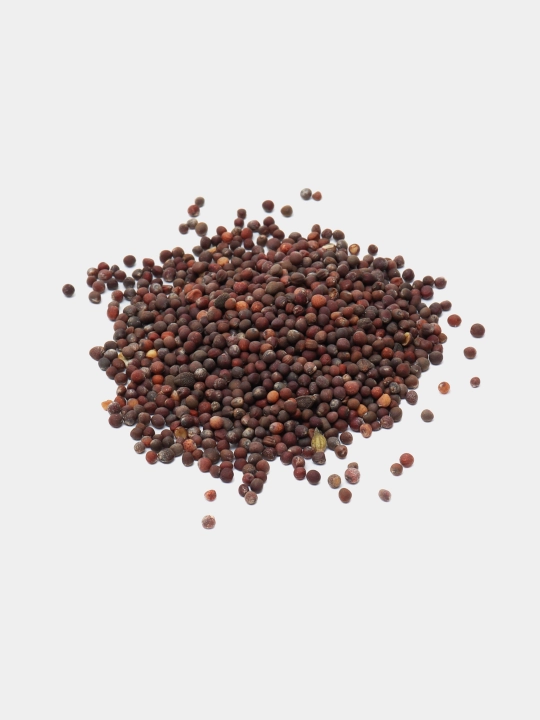 Urug‘lar: Lavlagi, Bulg‘or, Turp, Karam, Rayhon, Pomidor, Selderey, Bodreng, Ukrop, 5 g