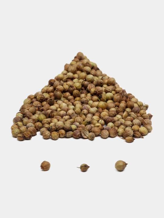 Urug‘lar: Lavlagi, Bulg‘or, Turp, Karam, Rayhon, Pomidor, Selderey, Bodreng, Ukrop, 5 g