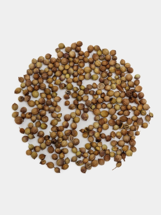 Urug‘lar: Lavlagi, Bulg‘or, Turp, Karam, Rayhon, Pomidor, Selderey, Bodreng, Ukrop, 5 g