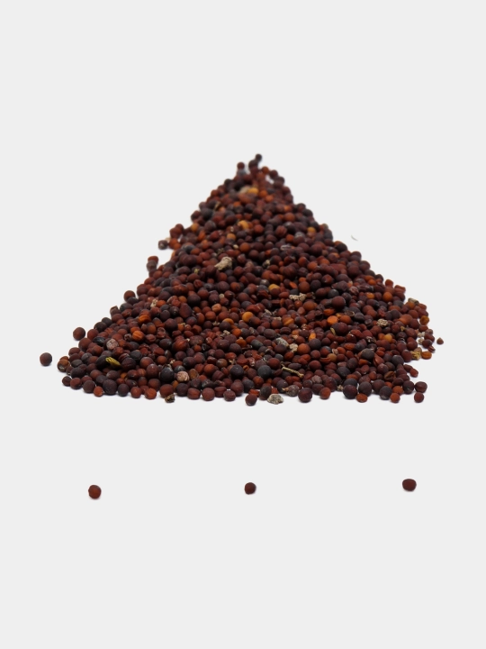 Urug‘lar: Lavlagi, Bulg‘or, Turp, Karam, Rayhon, Pomidor, Selderey, Bodreng, Ukrop, 5 g
