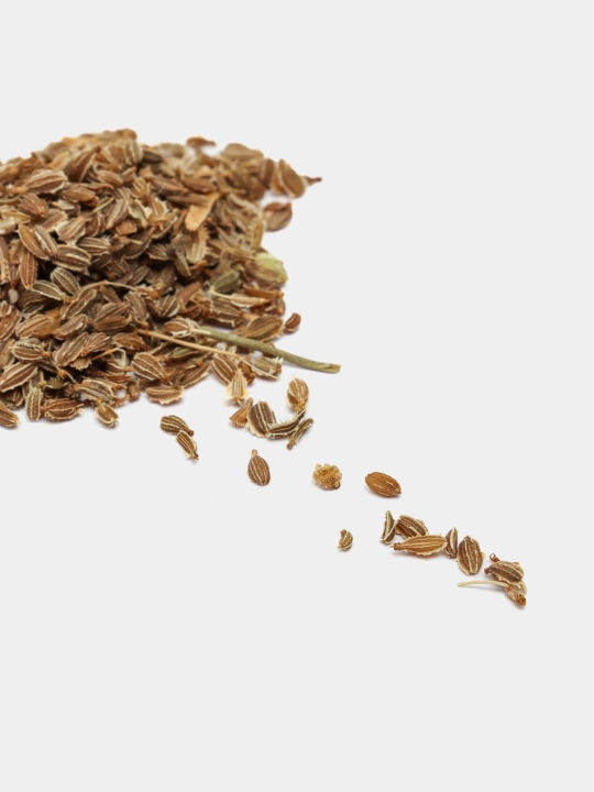 Urug‘lar: Lavlagi, Bulg‘or, Turp, Karam, Rayhon, Pomidor, Selderey, Bodreng, Ukrop, 5 g