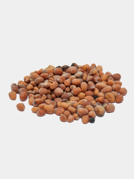 Urug‘lar: Lavlagi, Bulg‘or, Turp, Karam, Rayhon, Pomidor, Selderey, Bodreng, Ukrop, 5 g