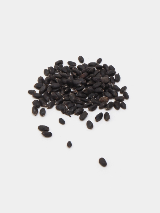 Urug‘lar: Lavlagi, Bulg‘or, Turp, Karam, Rayhon, Pomidor, Selderey, Bodreng, Ukrop, 5 g