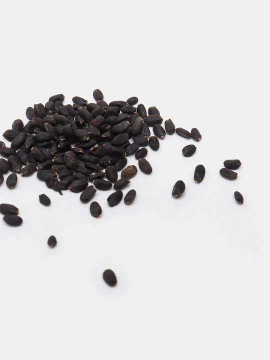 Urug‘lar: Lavlagi, Bulg‘or, Turp, Karam, Rayhon, Pomidor, Selderey, Bodreng, Ukrop, 5 g