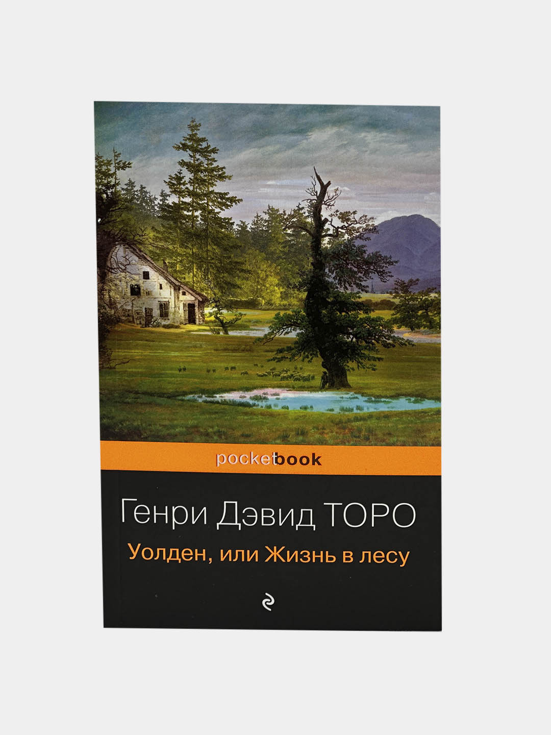 Уолден, или Жизнь в лесу, Генри Дэвид ТОРО купить по низким ценам в  интернет-магазине Uzum (853114)