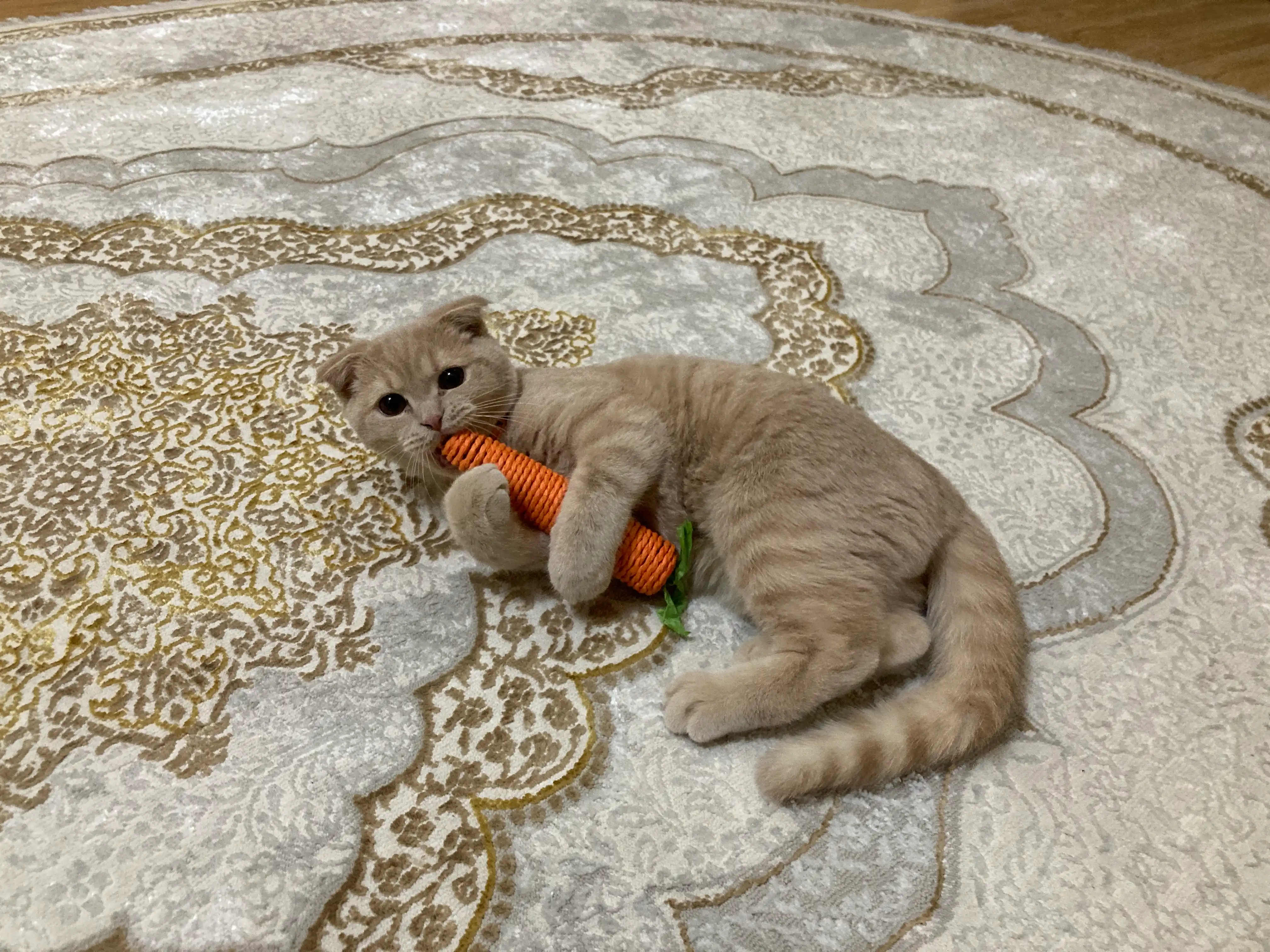 Игрушка когтеточка для кошек и котят Морковка шуршащая с бубенчиком