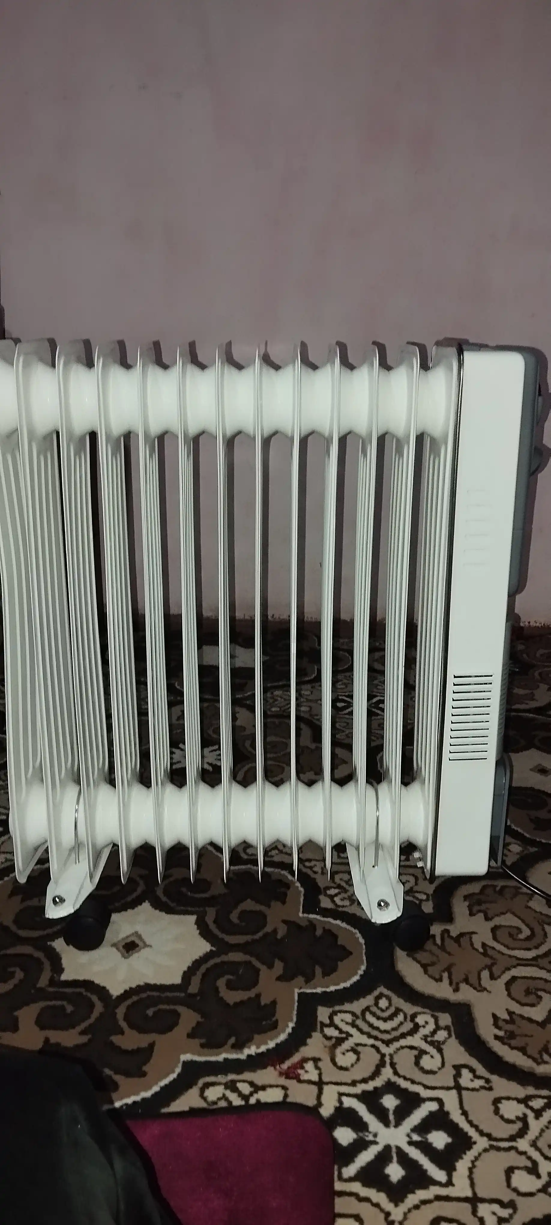 Moyli isitgich, 13 qovurg'ali, termostatli + quritgich, 2900 vt, 35 m2