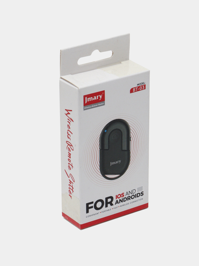 U ormonda mushukini korsatdi