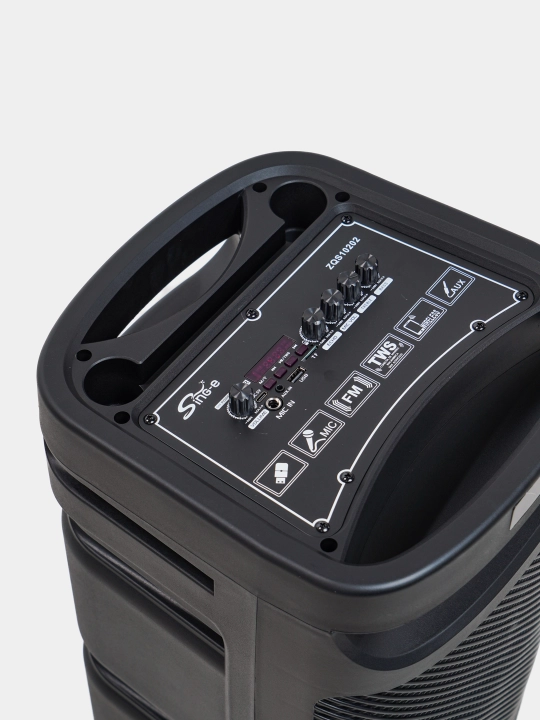Музыкальная колонка bluetooth ZQS10202 большая, с беспроводным микрофоном, 85 см