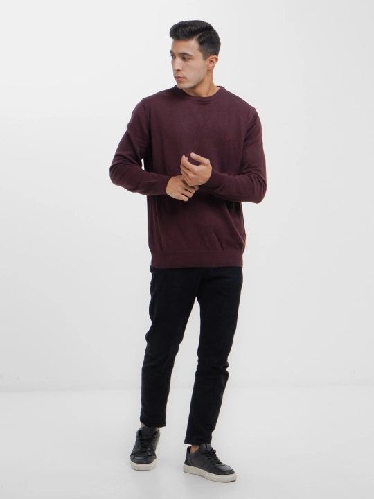 Мужской свитер Fabiani 3KE9TRK9320