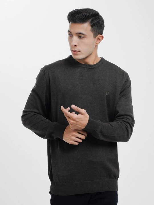 Мужской свитер Fabiani 3KE9TRK9320