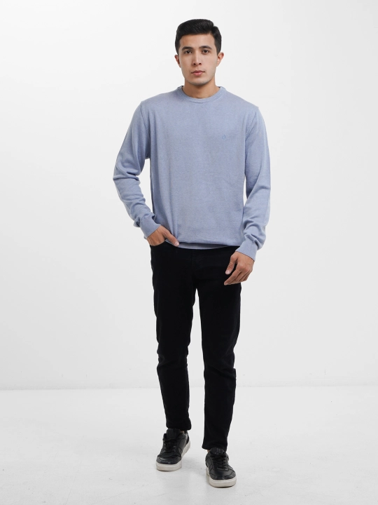 Мужской свитер Fabiani 3KE9TRK9320