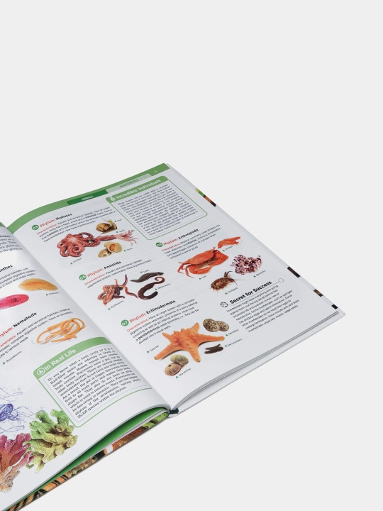 Knowledge Encyclopedia Animals, Inventions Discoveries, Human Body