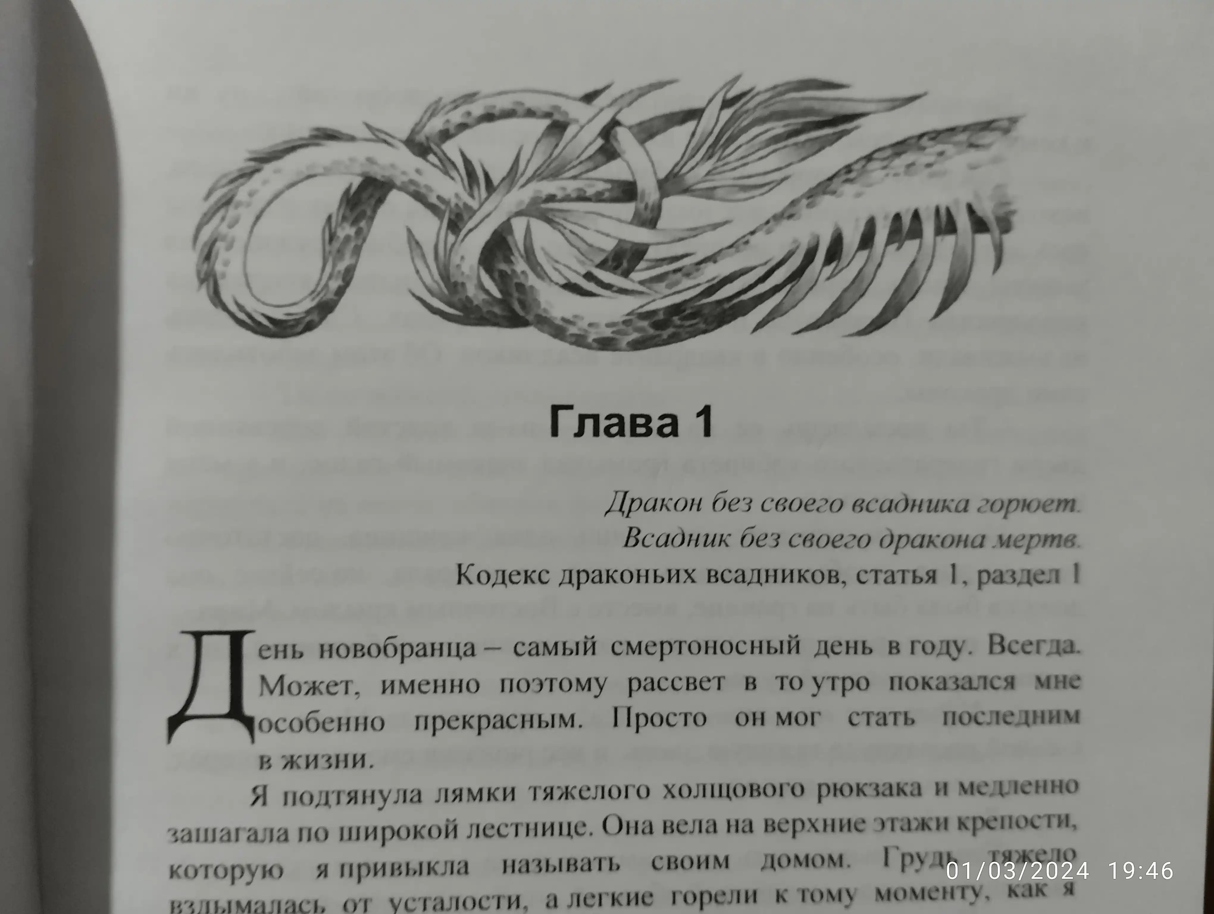 Rebeka yarros, Chetvertoye krylo