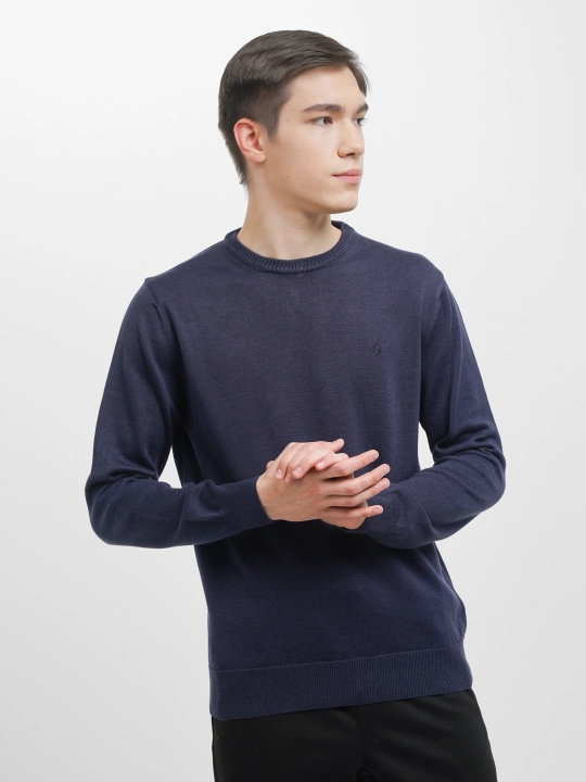 Мужской свитер Fabiani 3KE9TRK9320